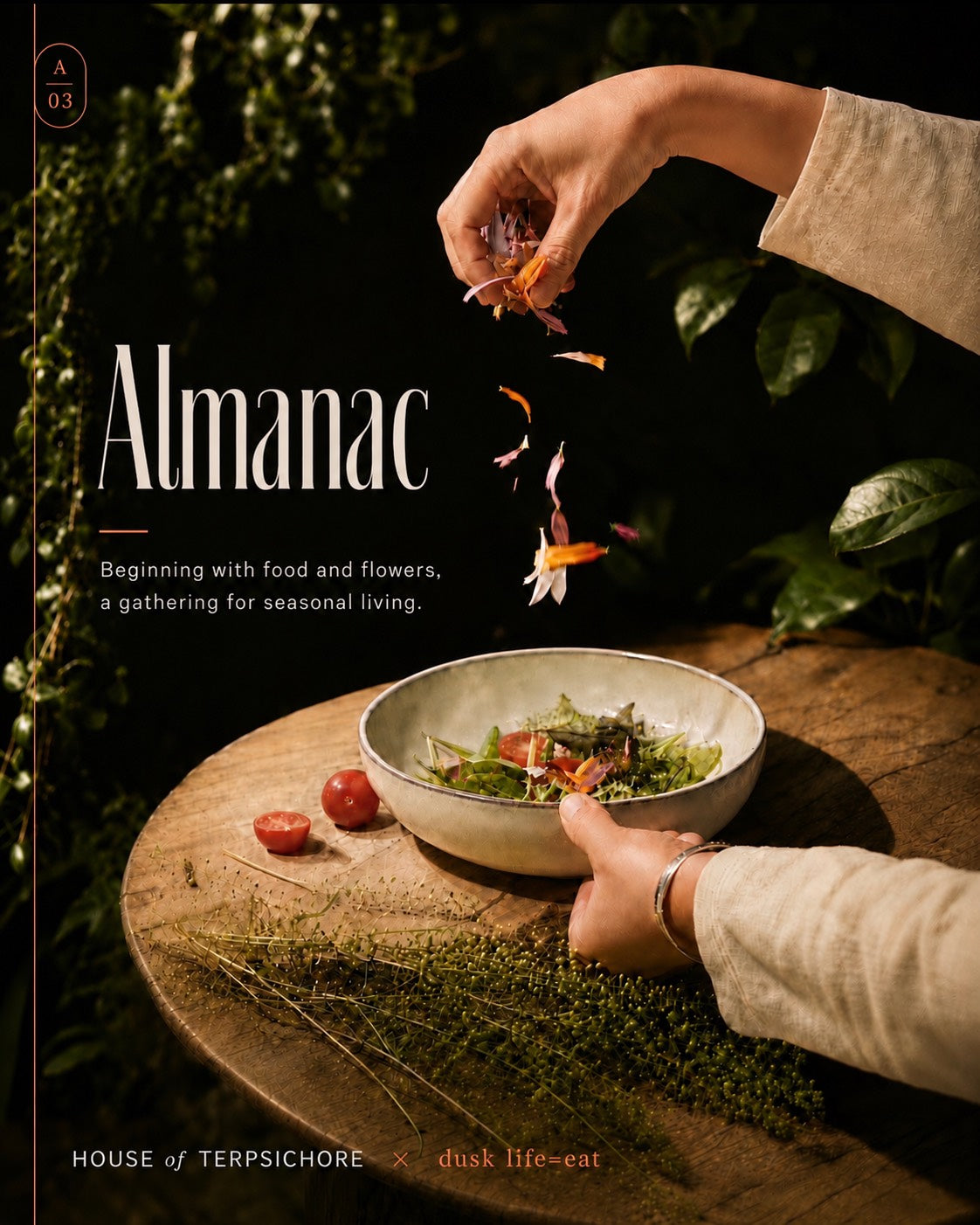 Almanac vol.3