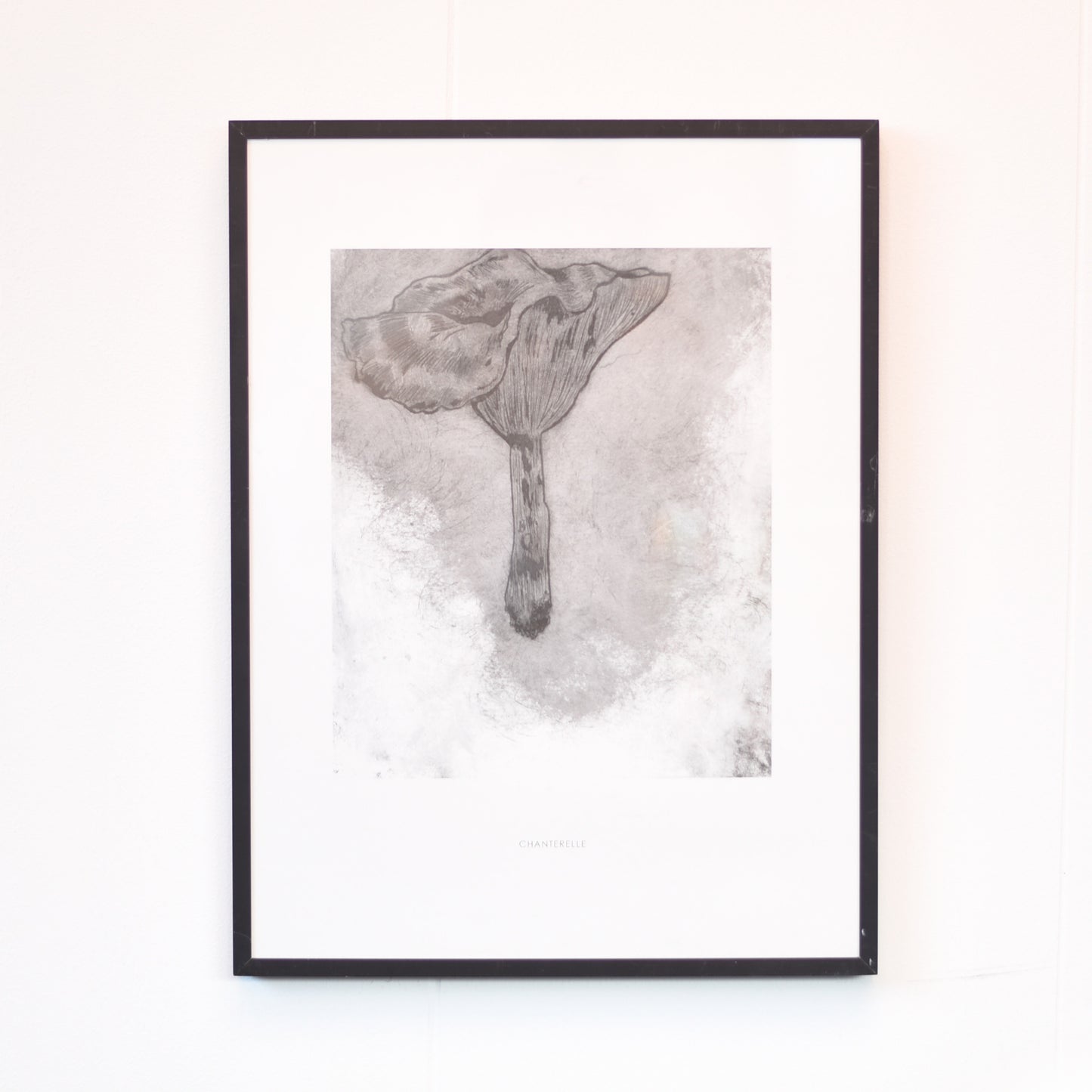 Art|【Mushroom】