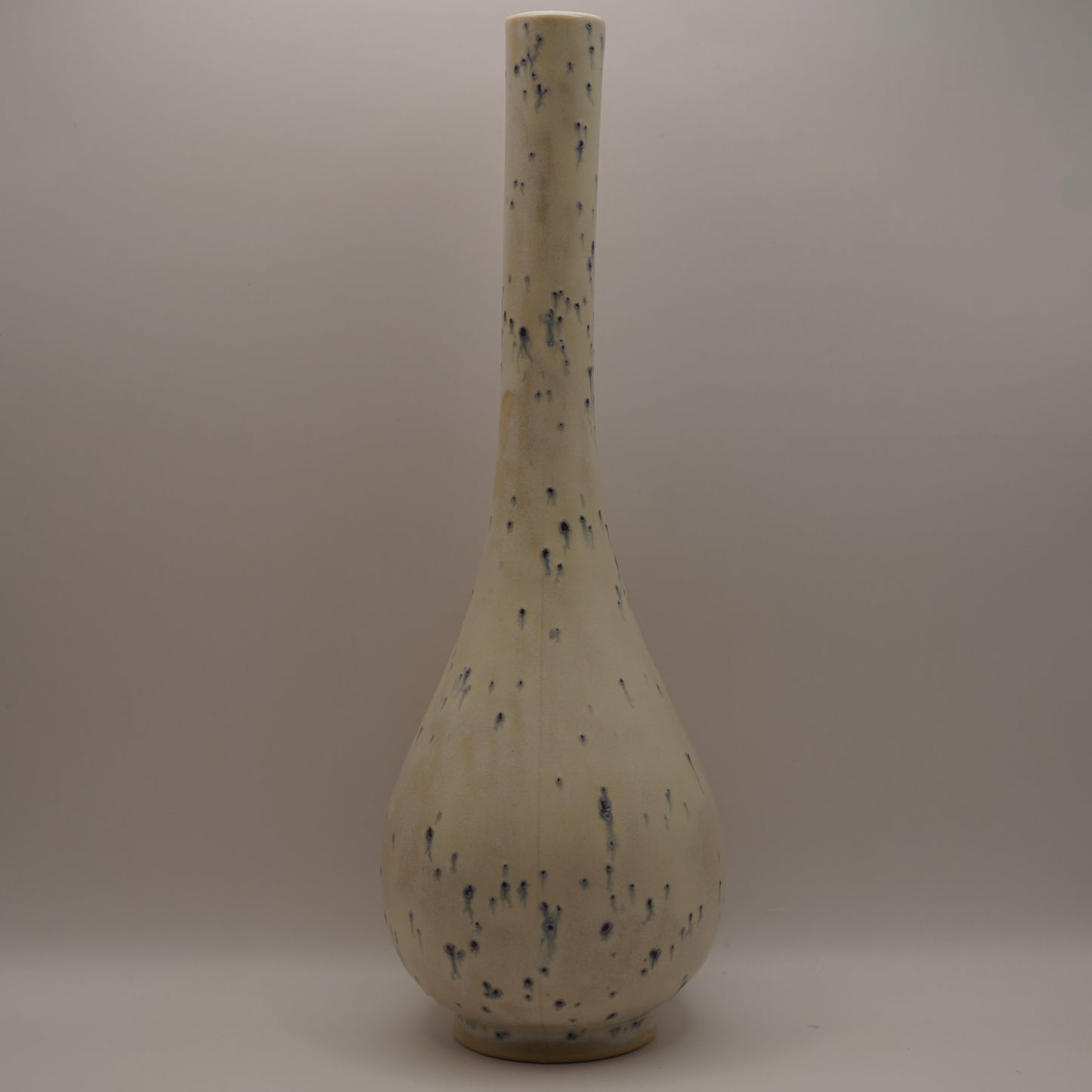 Ceramichi  |  Flower Vase
