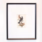 Art｜【Turdus merula Printed in 1940】　